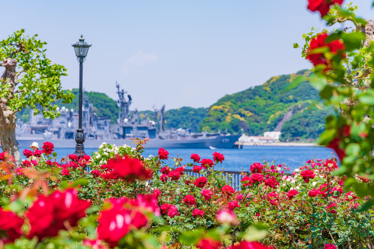神奈川の花のスポット一覧はこちら！